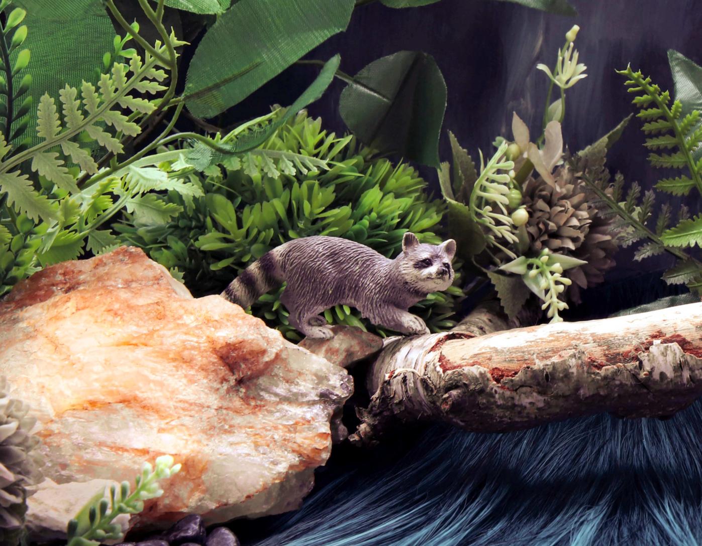 Un mapache. Fotografía en color de edición limitada - Photograph Abstracto de Dubravka Lazic