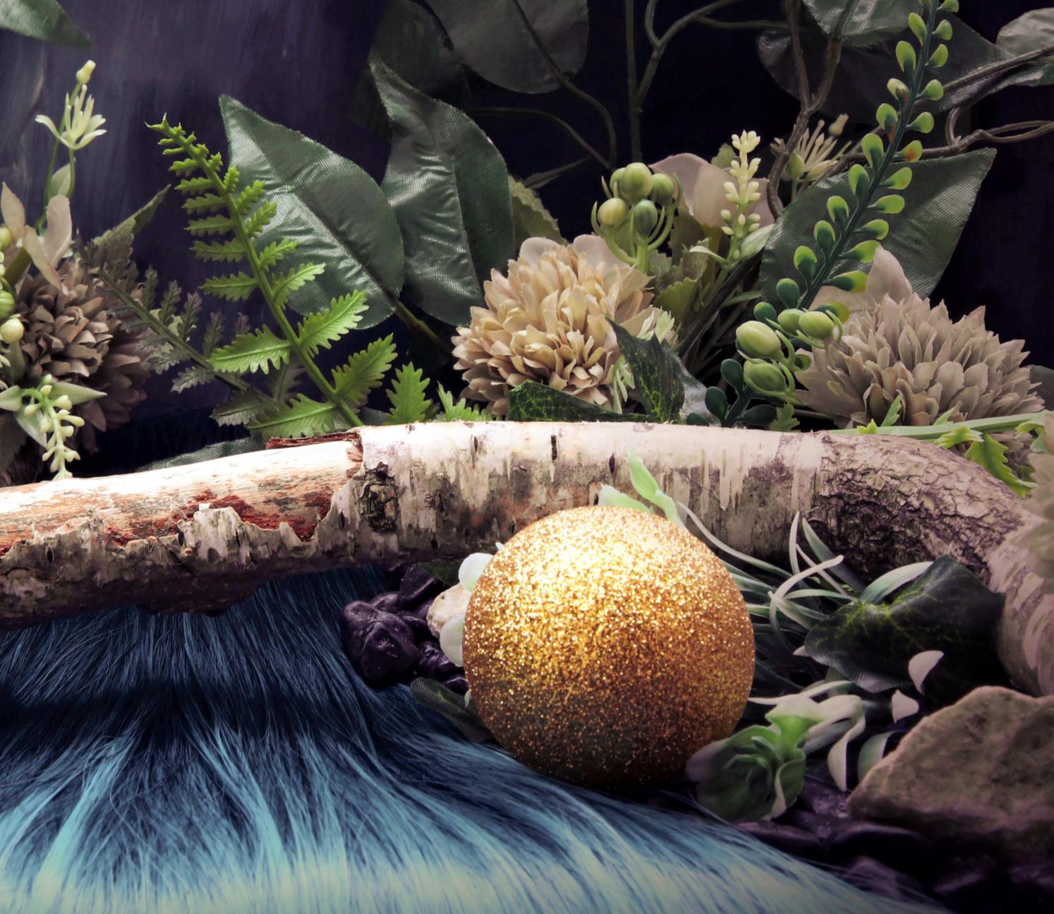 Un mapache. Fotografía en color de edición limitada - Color Photograph Negro de Dubravka Lazic