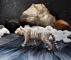 Una tigre. Fotografia a colori in edizione limitata