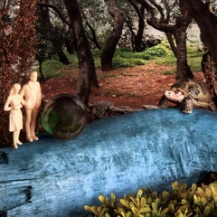 Eine Schildkröte. Farbfotografie in limitierter Auflage