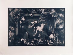 Academy. Cyanotype photograph
