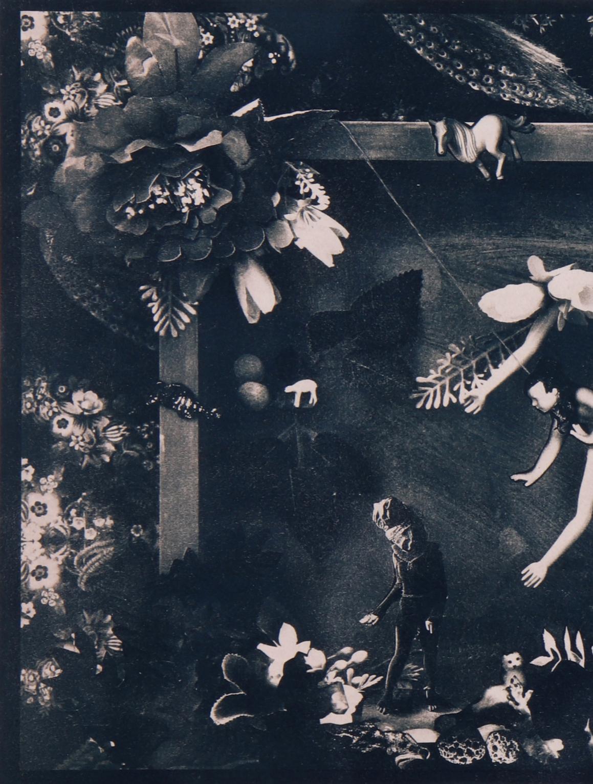 Accademia. Fotografia in cianotipia - Photograph Astratto di Dubravka Lazic