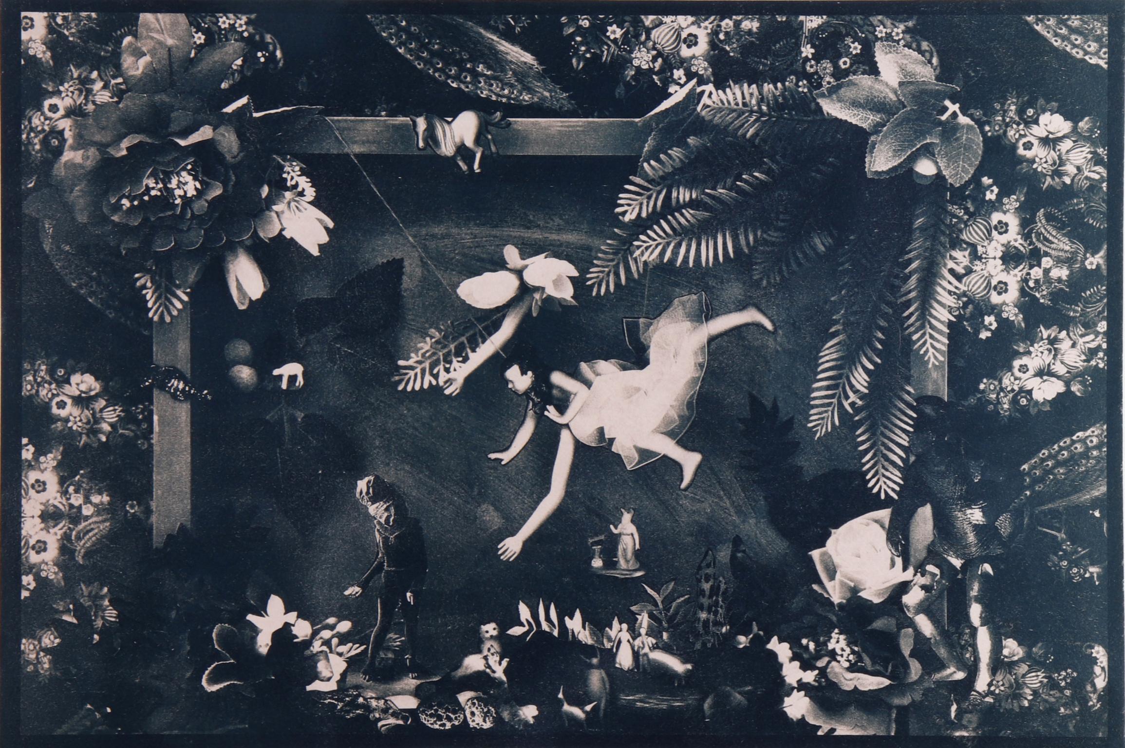 Akademie. Cyanotypie-Fotografie