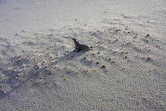 Beach Games. From LenkPlay Series. Limited edition color photograph