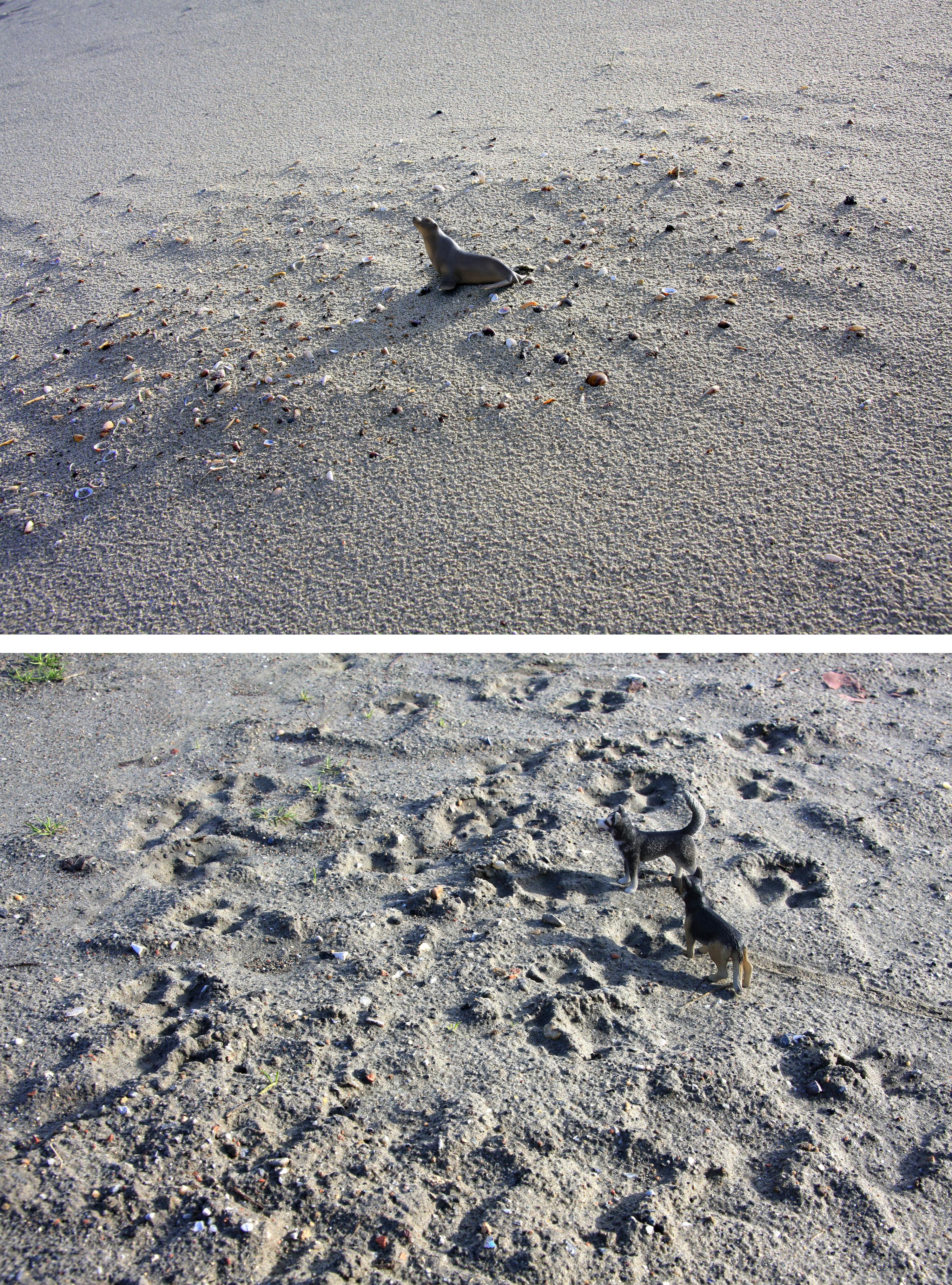 Dubravka Lazic Landscape Photograph - Beach Games. From LenkPlay Series. Limited edition color photograph