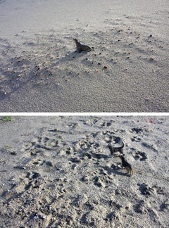 Beach Games. From LenkPlay Series. Limited edition color photograph