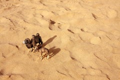 Wüste Spiele. Aus der LenkPlay-Serie. Farbfotografie in limitierter Auflage