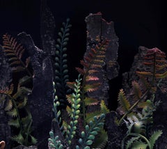 Cierva y cervatillo. Fotografía en color de edición limitada