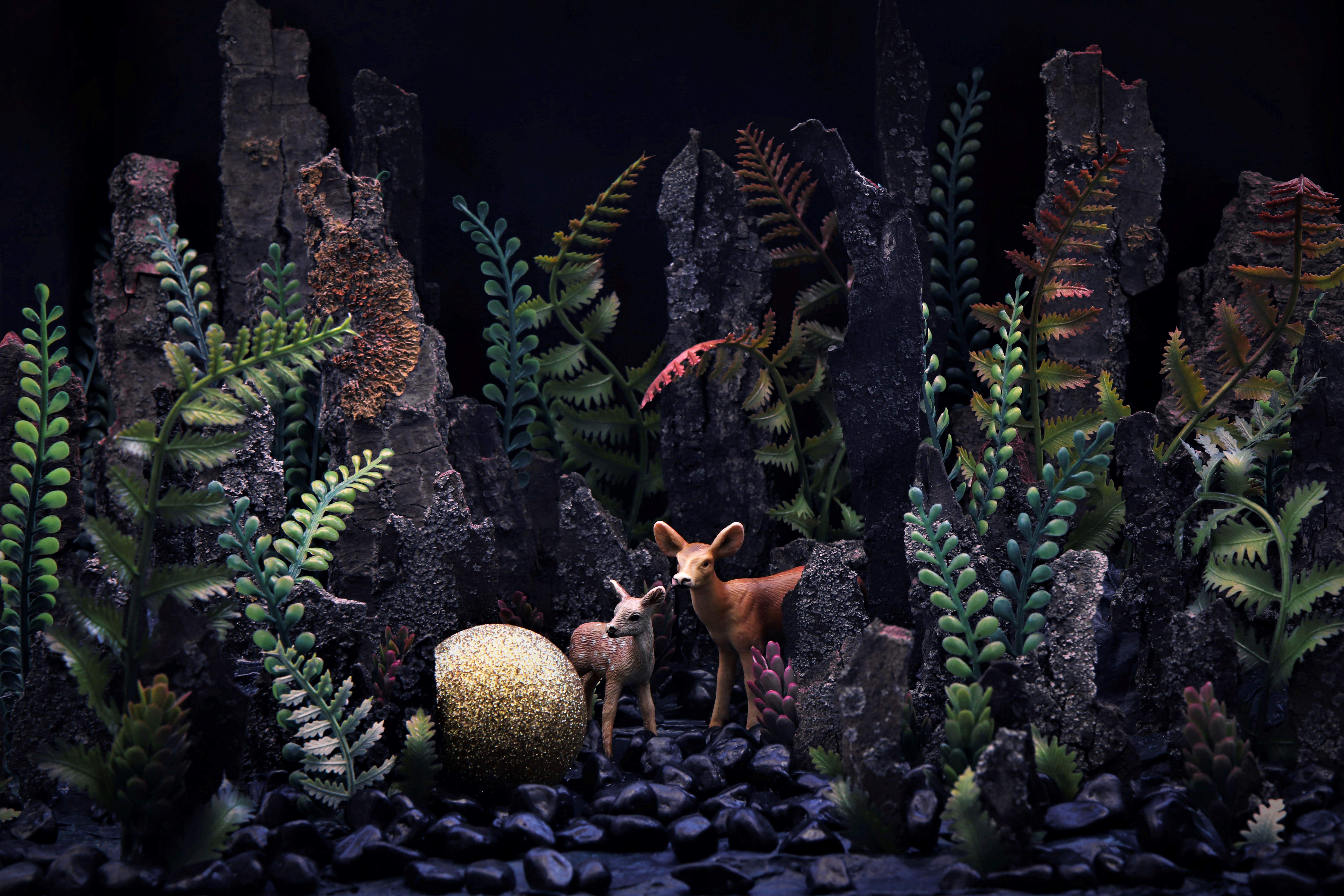 Biche et fauve. Photographie en couleur en édition limitée