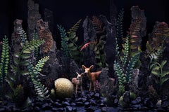 Doe and Fawn. Limited edition color photograph