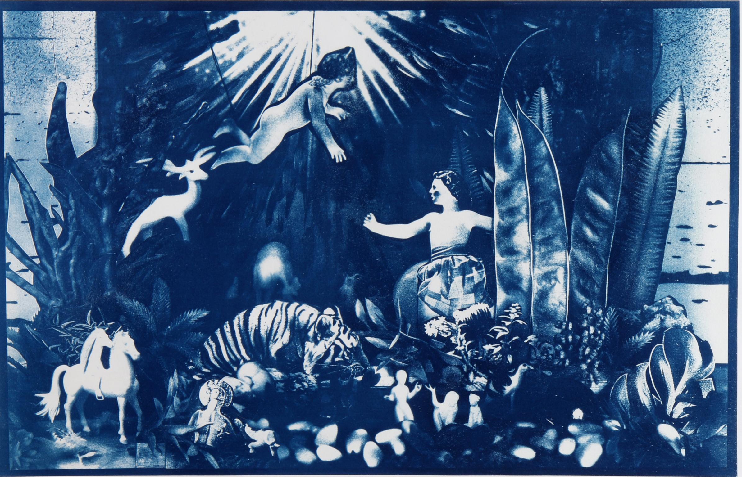 Friends, 2025. Cyanotype photograph