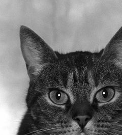 ID nº 10 El Visionario. Fotografía de edición limitada