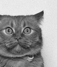 ID No. 13 The Startled. Limited edition photograph