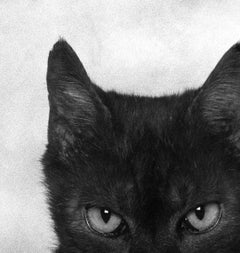 ID nº 14 Los Furiosos. Fotografía de edición limitada