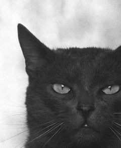 ID nº 16 El Vigilante. Fotografía de edición limitada