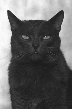 ID No. 16 The Watchful. Limited edition photograph