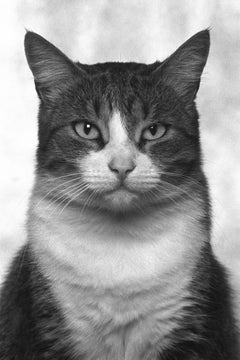 ID No. 17 The Refined. Limited edition photograph