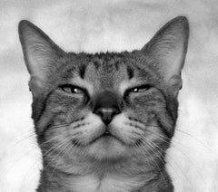 ID n. 3 L'ambizioso. Fotografia a colori in edizione limitata