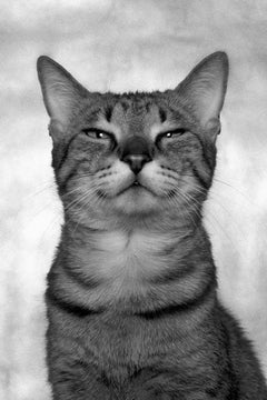 Black and White Photography
