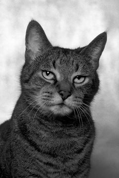 Dubravka Lazic - ID No. 4 The Confident. Limited edition photograph ID No. 4 The Confident. Limited edition photograph