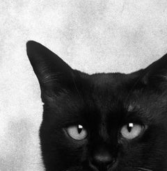 ID No. 5 The Naive. Limited edition photograph