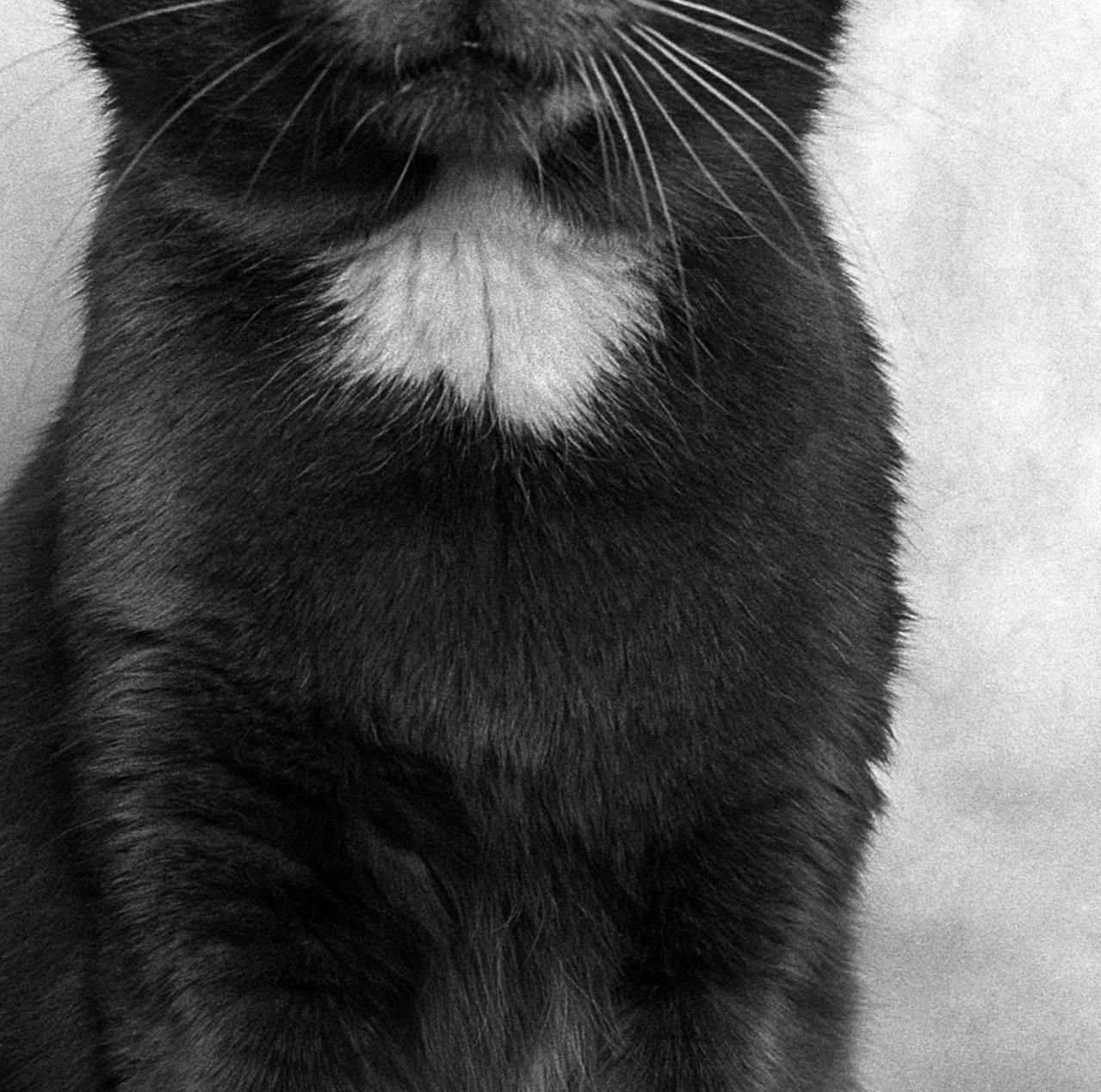 ID n. 7 Il malinconico. Fotografia in edizione limitata - Portrait Photograph Nero di Dubravka Lazic