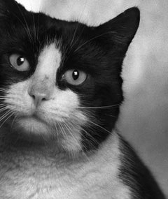 ID Nr. 8 Der Melancholiker. Limitierte Auflage eines Fotos