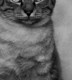 ID Nr. 9 Der Melancholiker. Limitierte Auflage eines Fotos