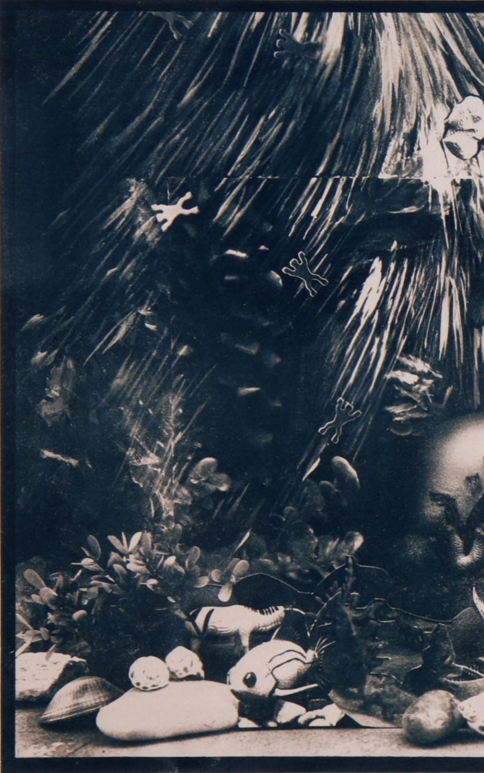 Lenka. Fotografía cianotipia - Photograph Abstracto de Dubravka Lazic