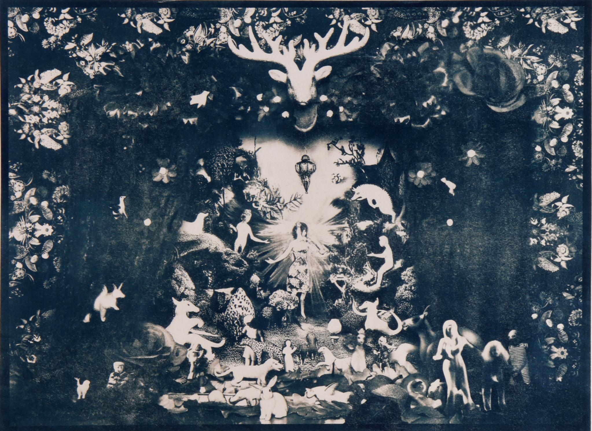 Lebensabschnitt, 2025. Cyanotypie-Fotografie