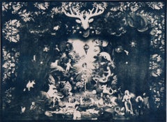 Stage of Life, 2025. Cyanotype photograph