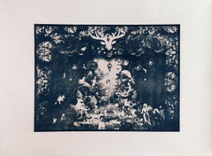 Stage of Life, 2025. Cyanotype photograph