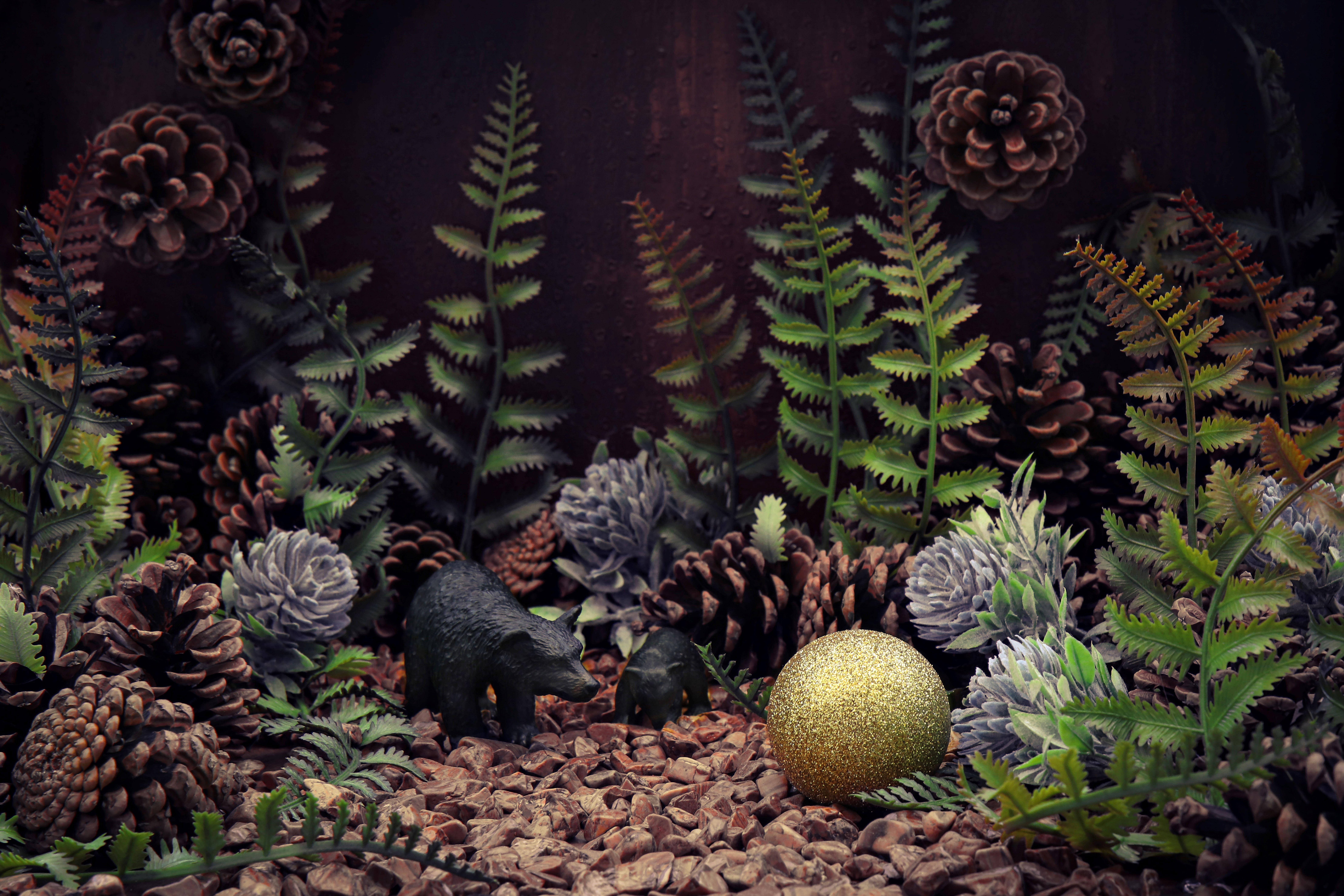 Les Ours. Photographie en couleur en édition limitée