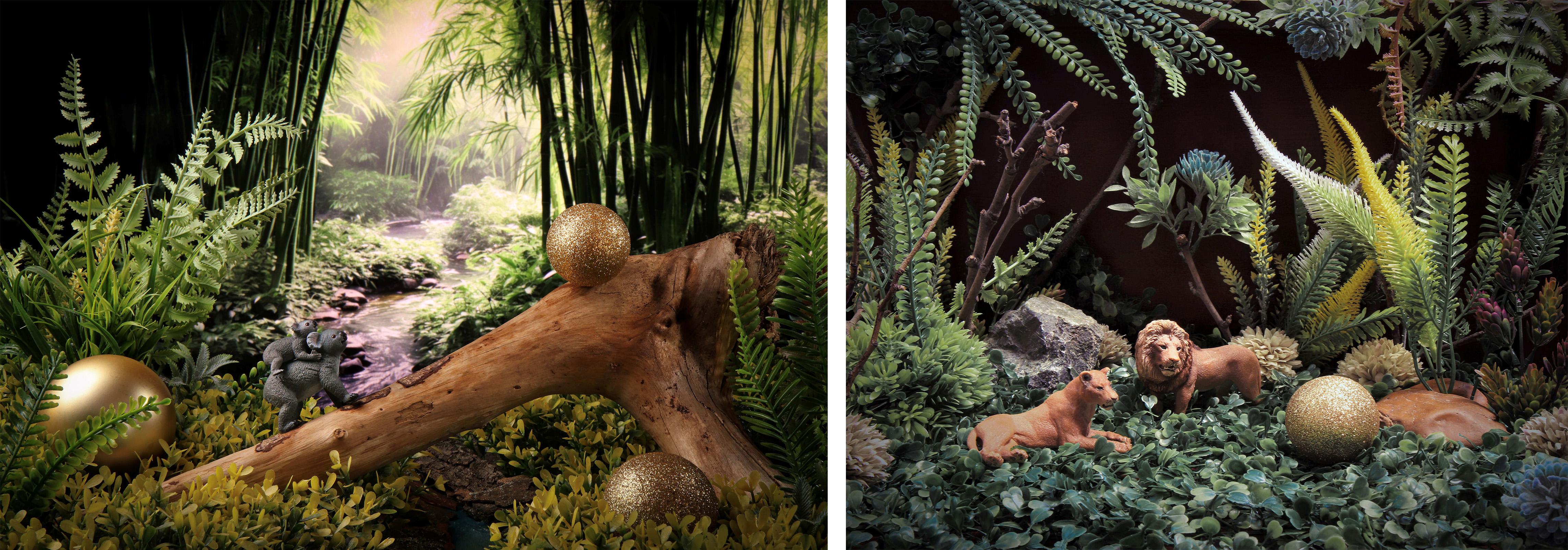 Dubravka Lazic Still-Life Photograph – Die Koalas und die Löwen. Farbfotografie in limitierter Auflage