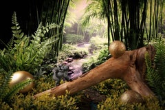 Fotografia astratta di still-life