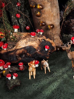 The Deer, Doe, Fawn. Limited edition color photograph