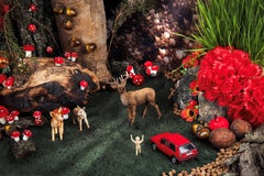 The Deer, Doe, Fawn. Limited edition color photograph