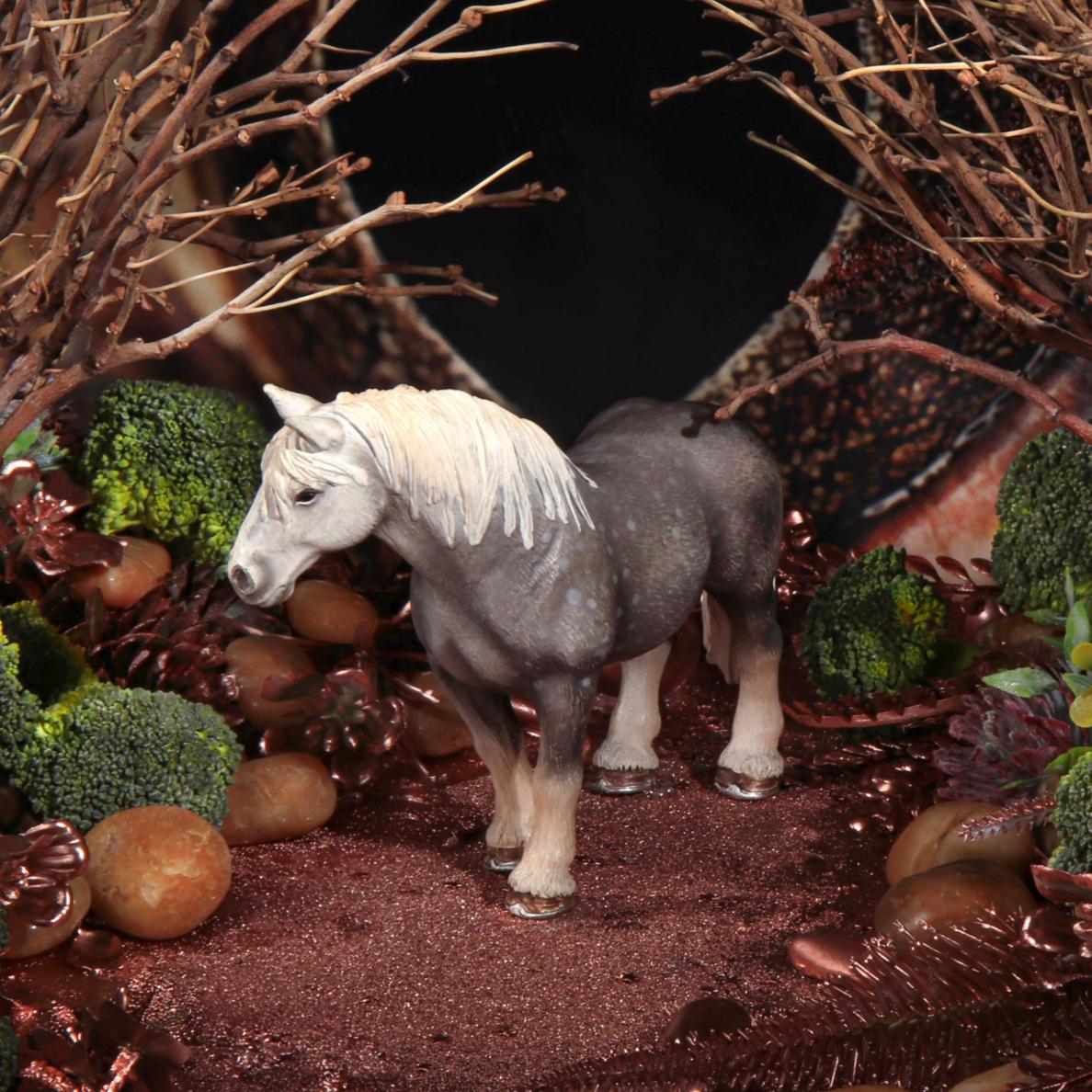 L'œil du cheval et du reptile. Photographie en couleur en édition limitée - Noir Color Photograph par Dubravka Lazic
