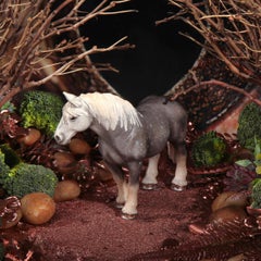 The Horse and Reptile Eye. Limited edition color photograph