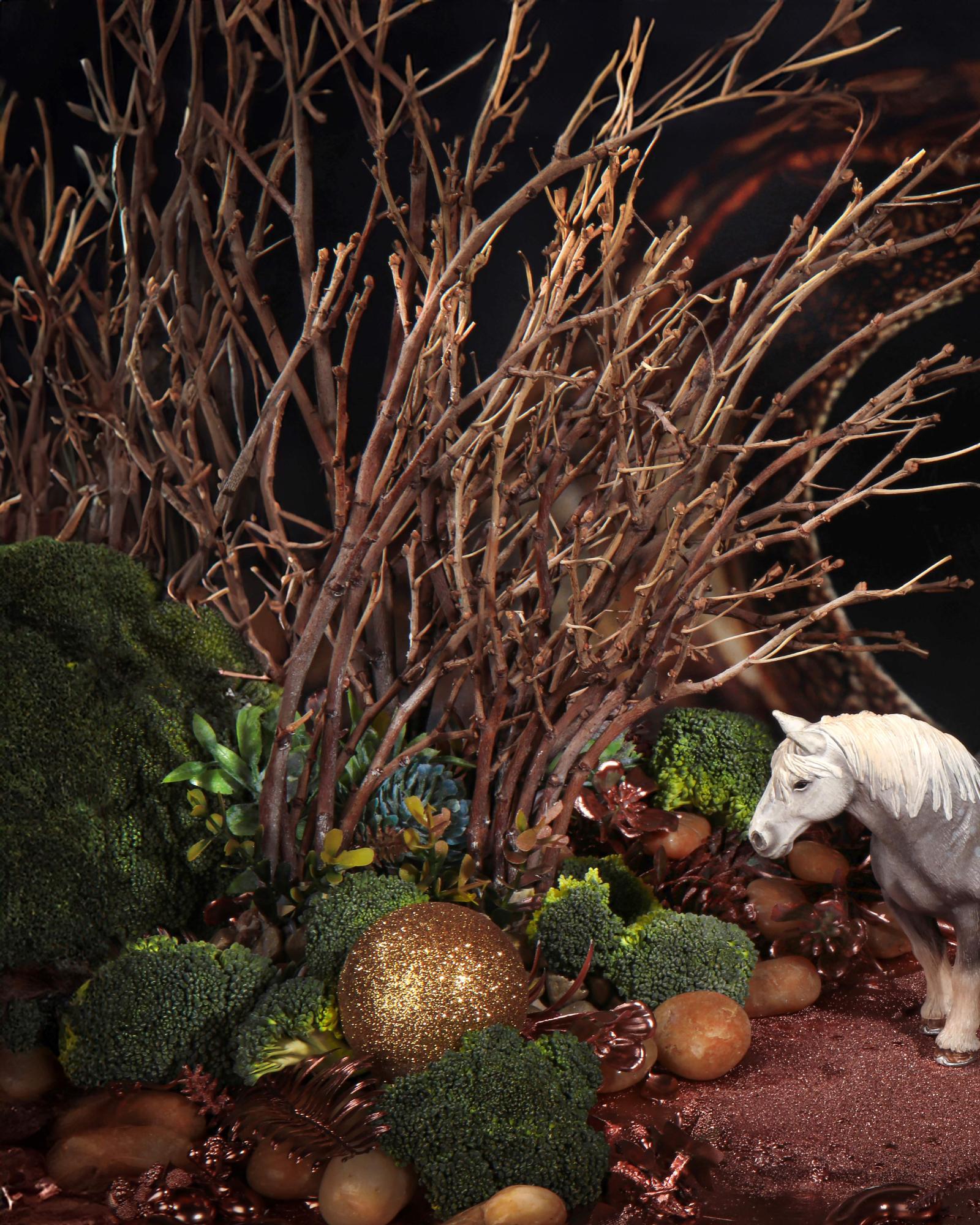 L'œil du cheval et du reptile. Photographie en couleur en édition limitée en vente 1