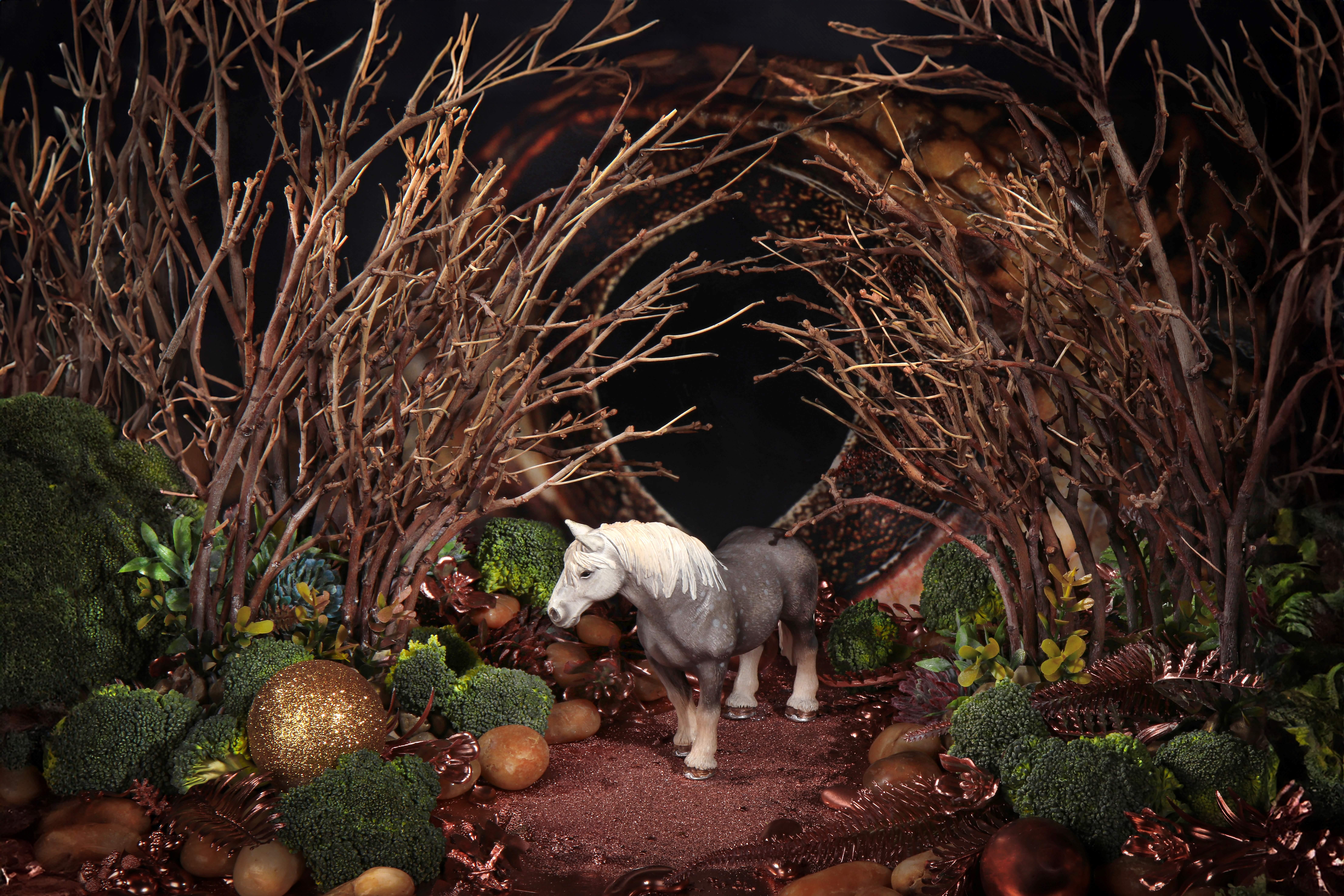 L
œil du cheval et du reptile. Photographie en couleur en édition limitée