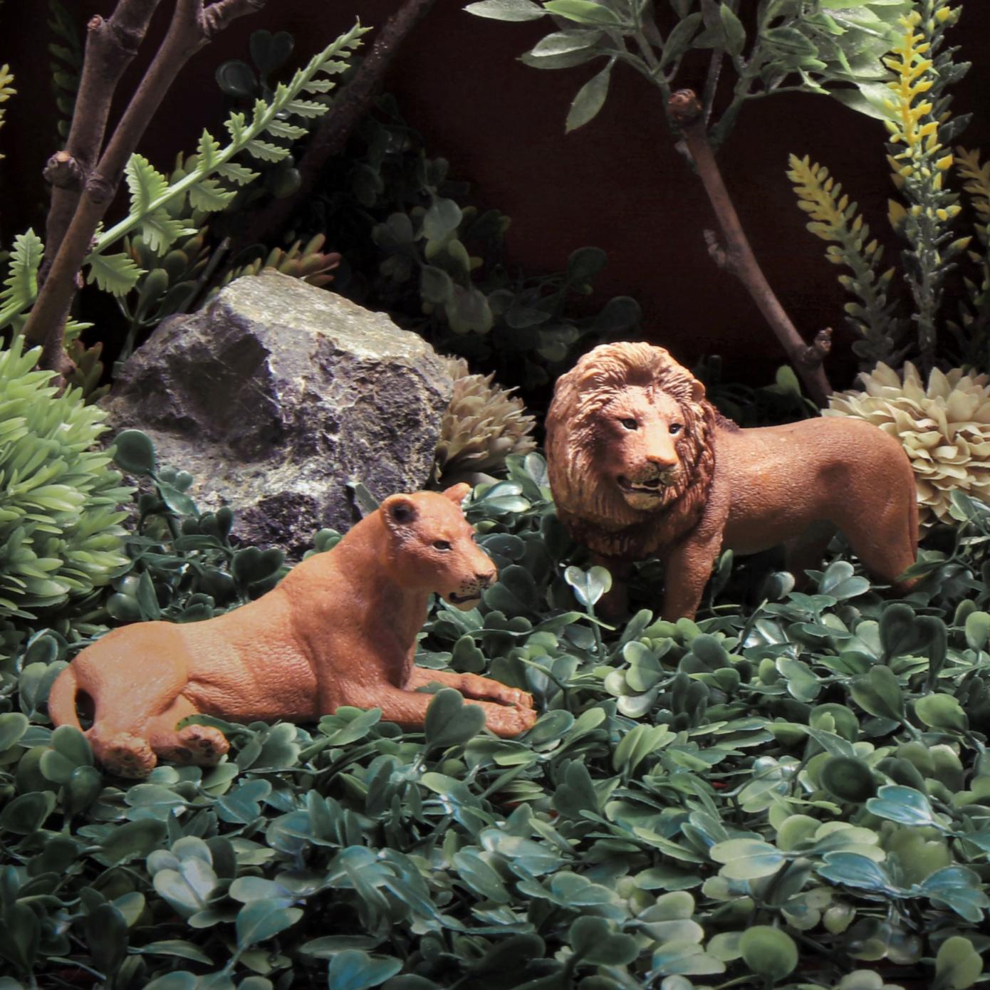 Les Lions. Photographie en couleur en édition limitée - Noir Color Photograph par Dubravka Lazic