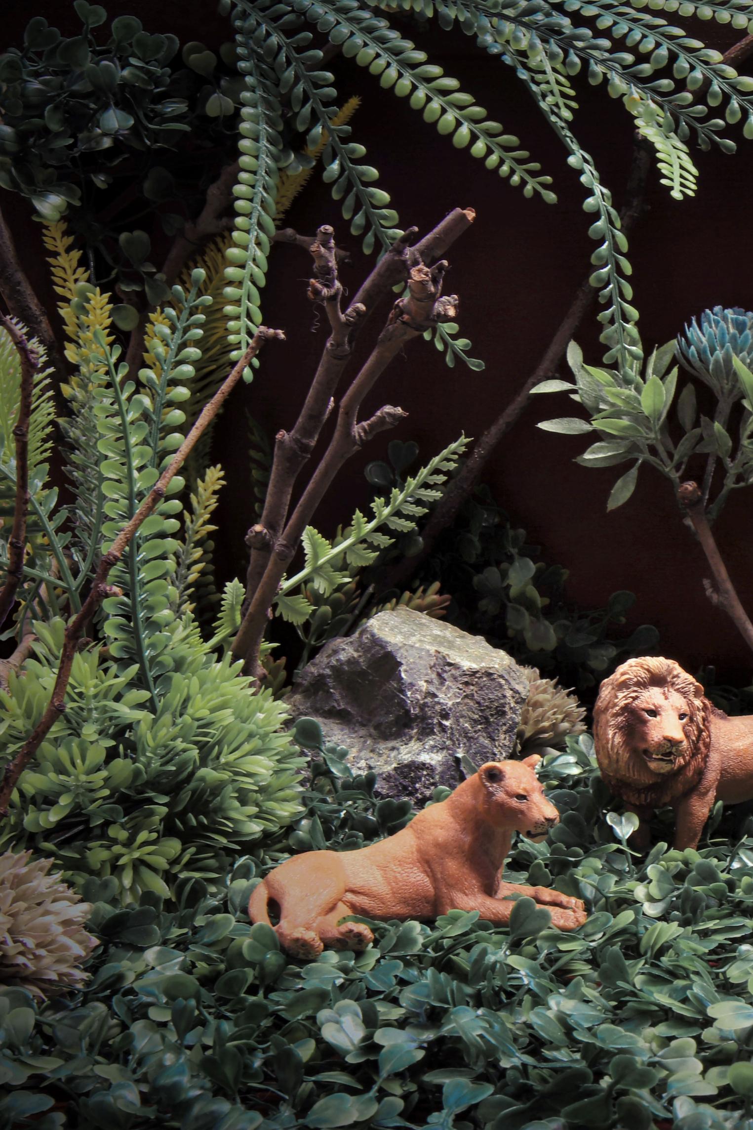 L'exploration du concept de jeu en tant qu'impulsion artistique présente des photographies ludiques, presque 