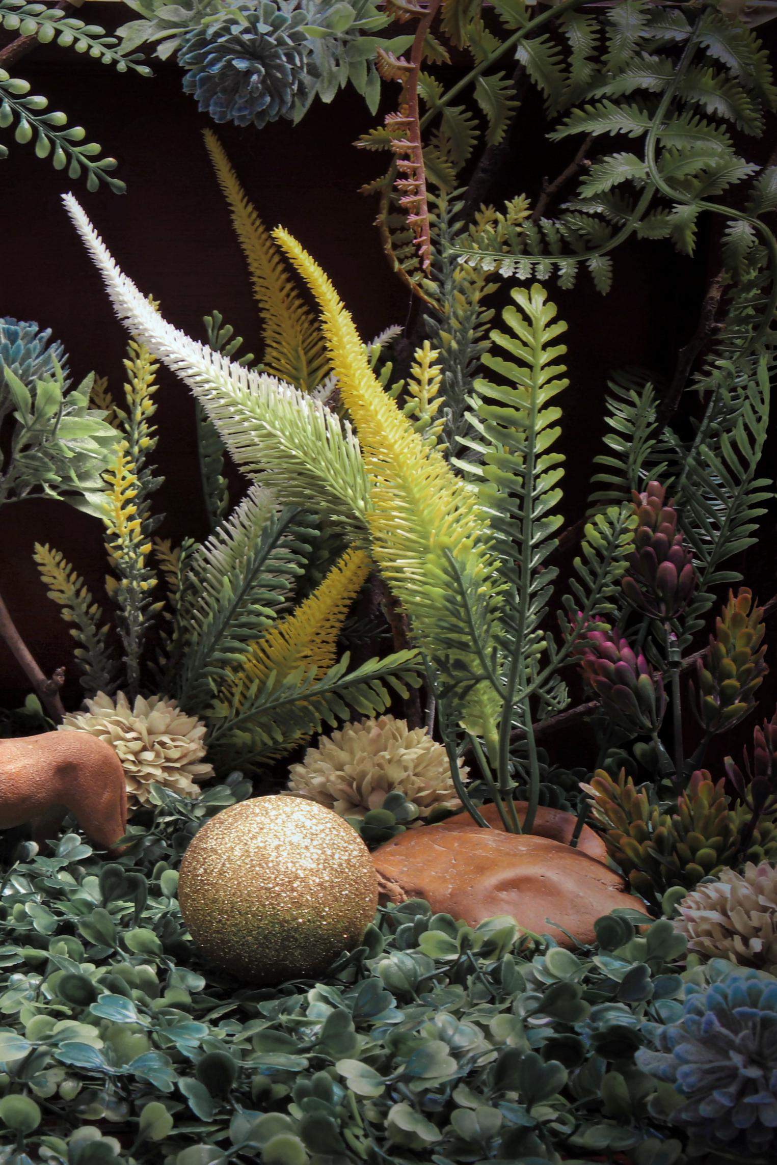 Les Lions. Photographie en couleur en édition limitée en vente 1