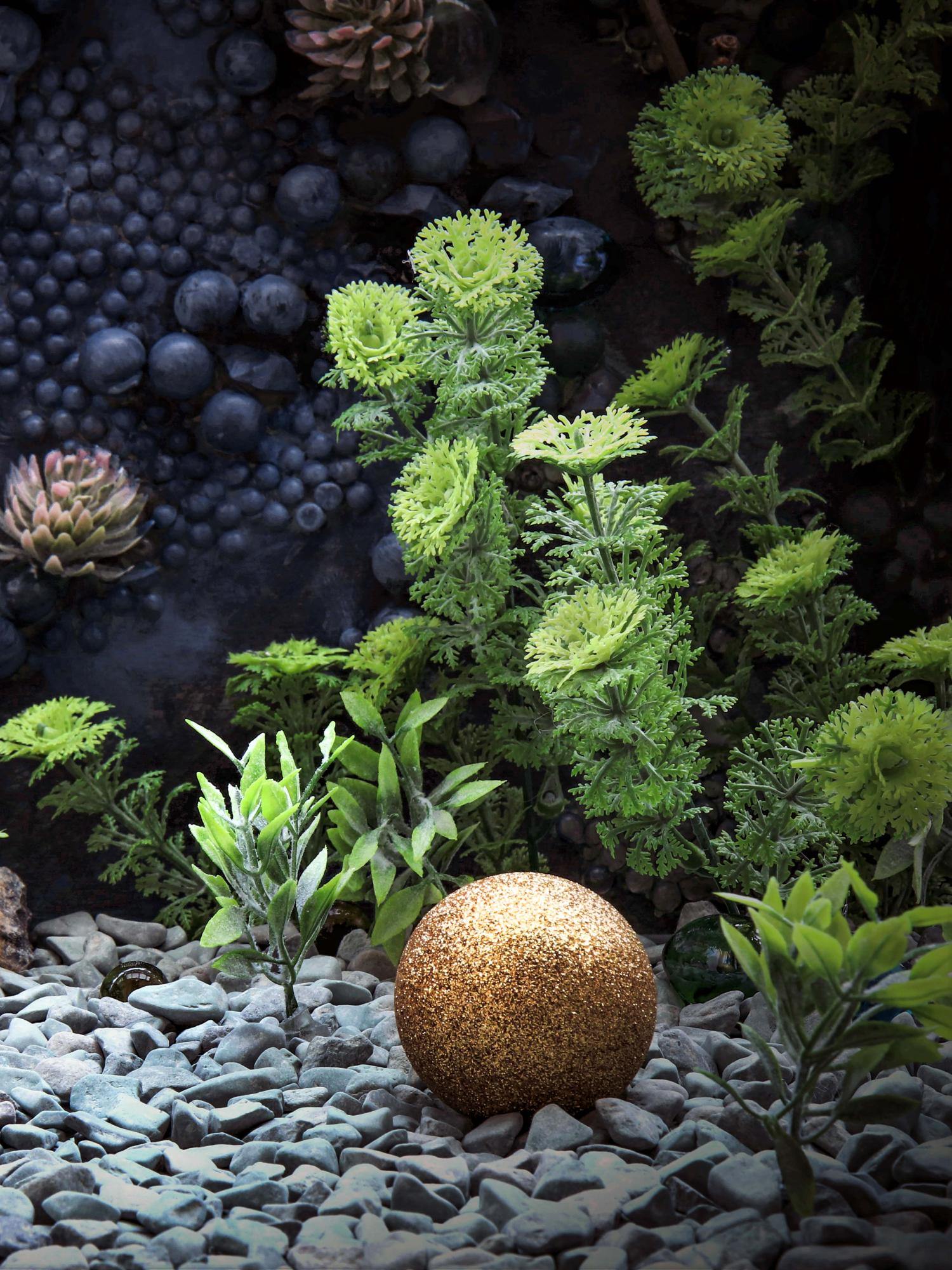 Le WOLFS. Photographie en couleur en édition limitée en vente 1