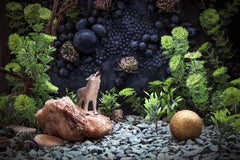 The Wolf. Limited edition color photograph