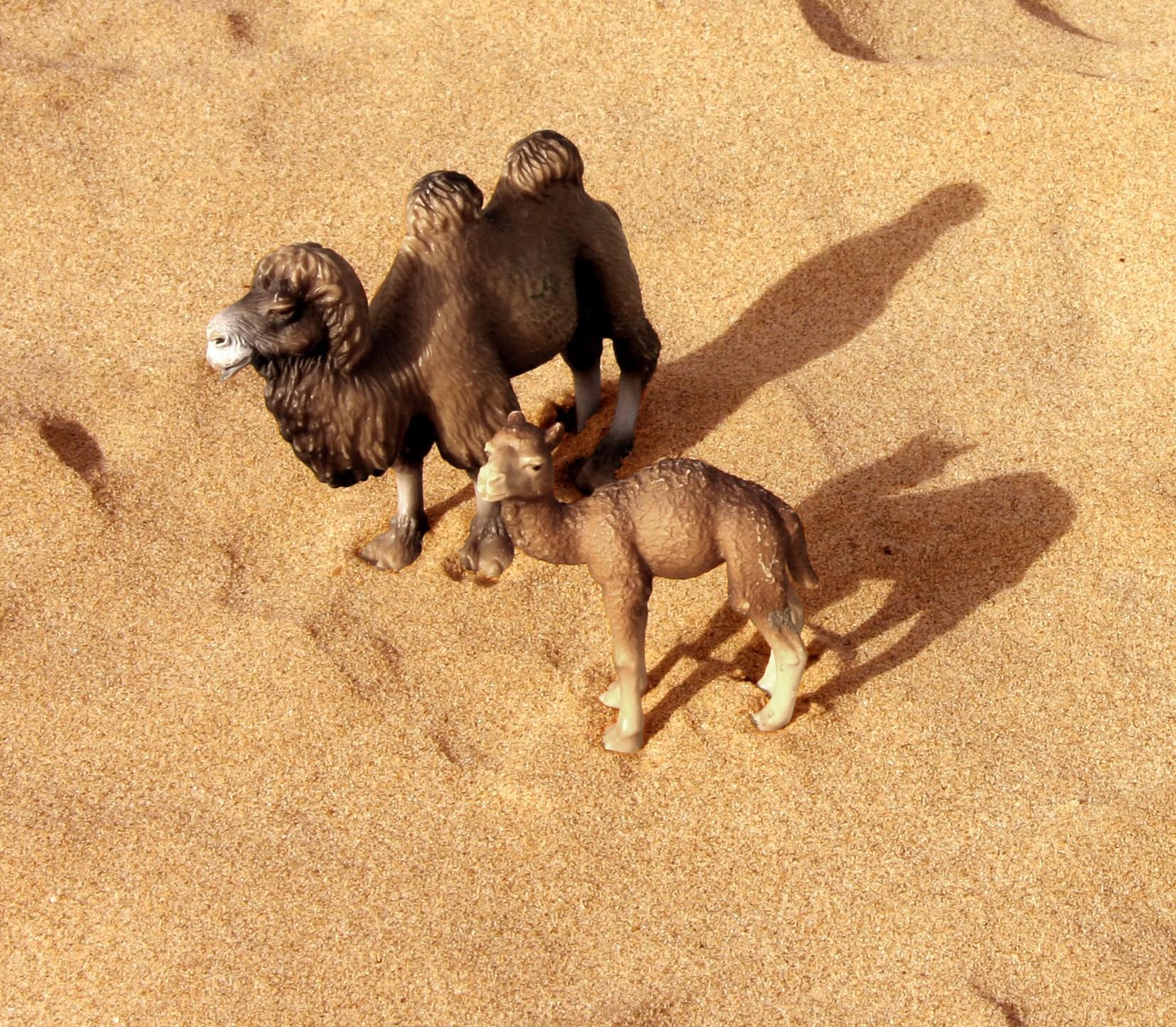 Untitled I. From LenkPlay Series. Limited edition color photograph - Photograph by Dubravka Lazic