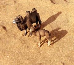 Untitled I. From LenkPlay Series. Limited edition color photograph