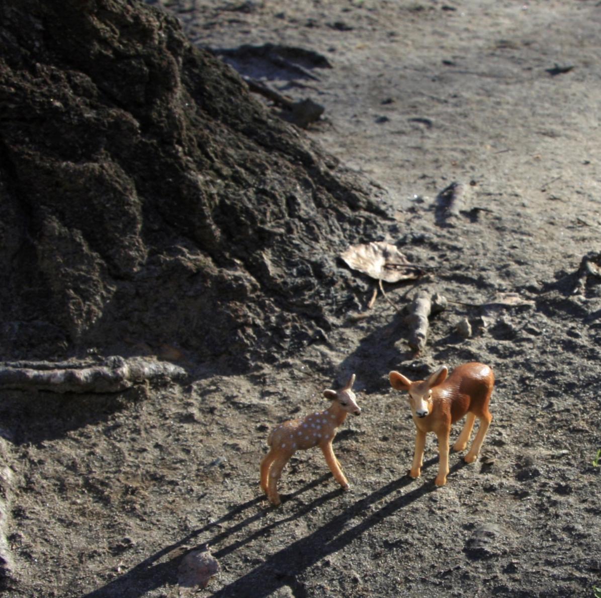 Sans titre II. De la série LenkPlay. Photographie en couleur en édition limitée - Noir Color Photograph par Dubravka Lazic