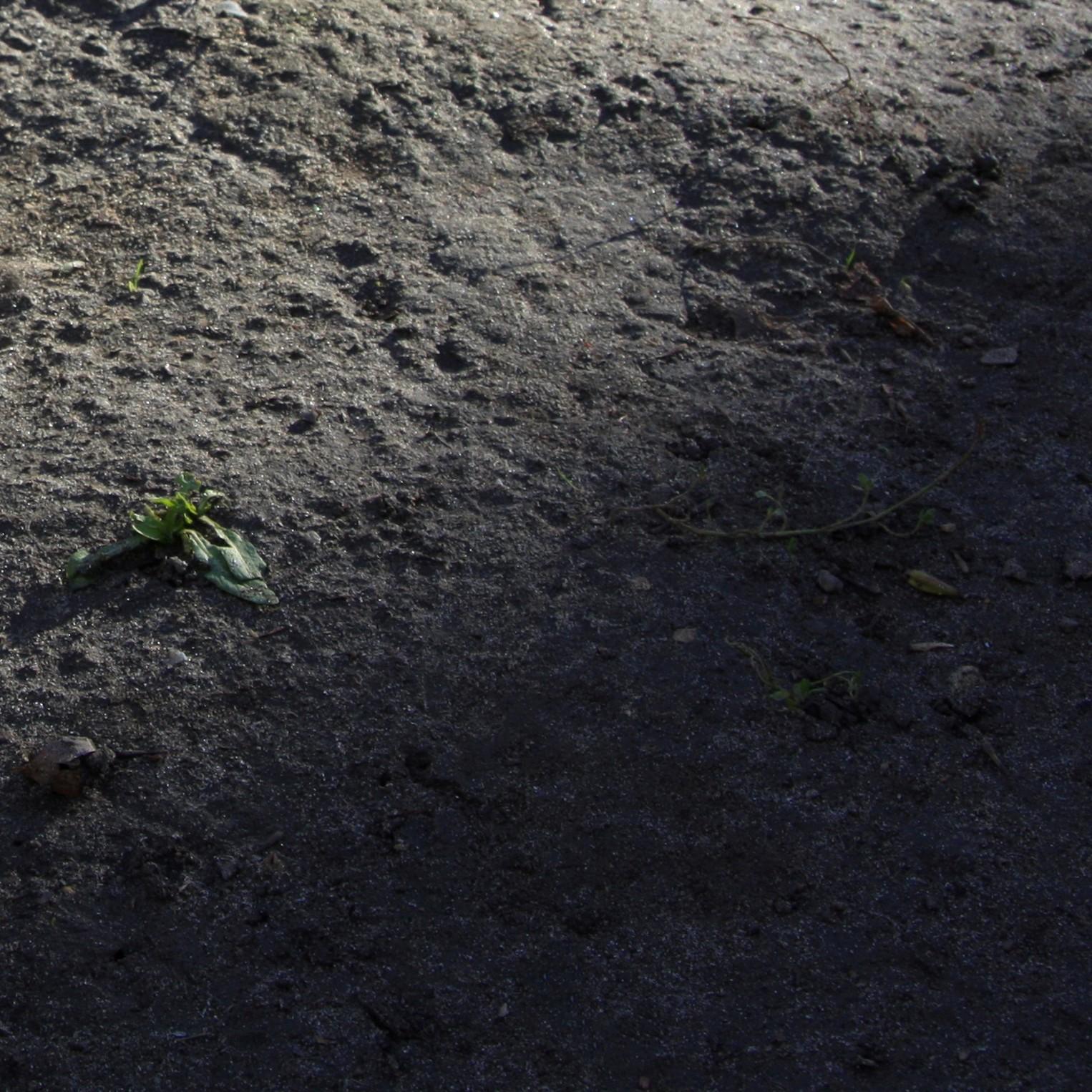 L'exploration du concept de jeu en tant qu'impulsion artistique présente des photographies ludiques, presque 